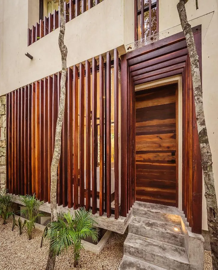 Afra 3 Beautiful Jungle House With Private Pool Villa Tulum 0*,
