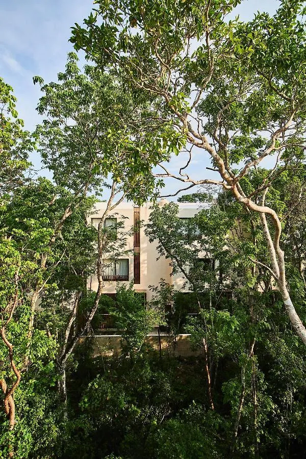 Afra 3 Beautiful Jungle House With Private Pool Villa Tulum